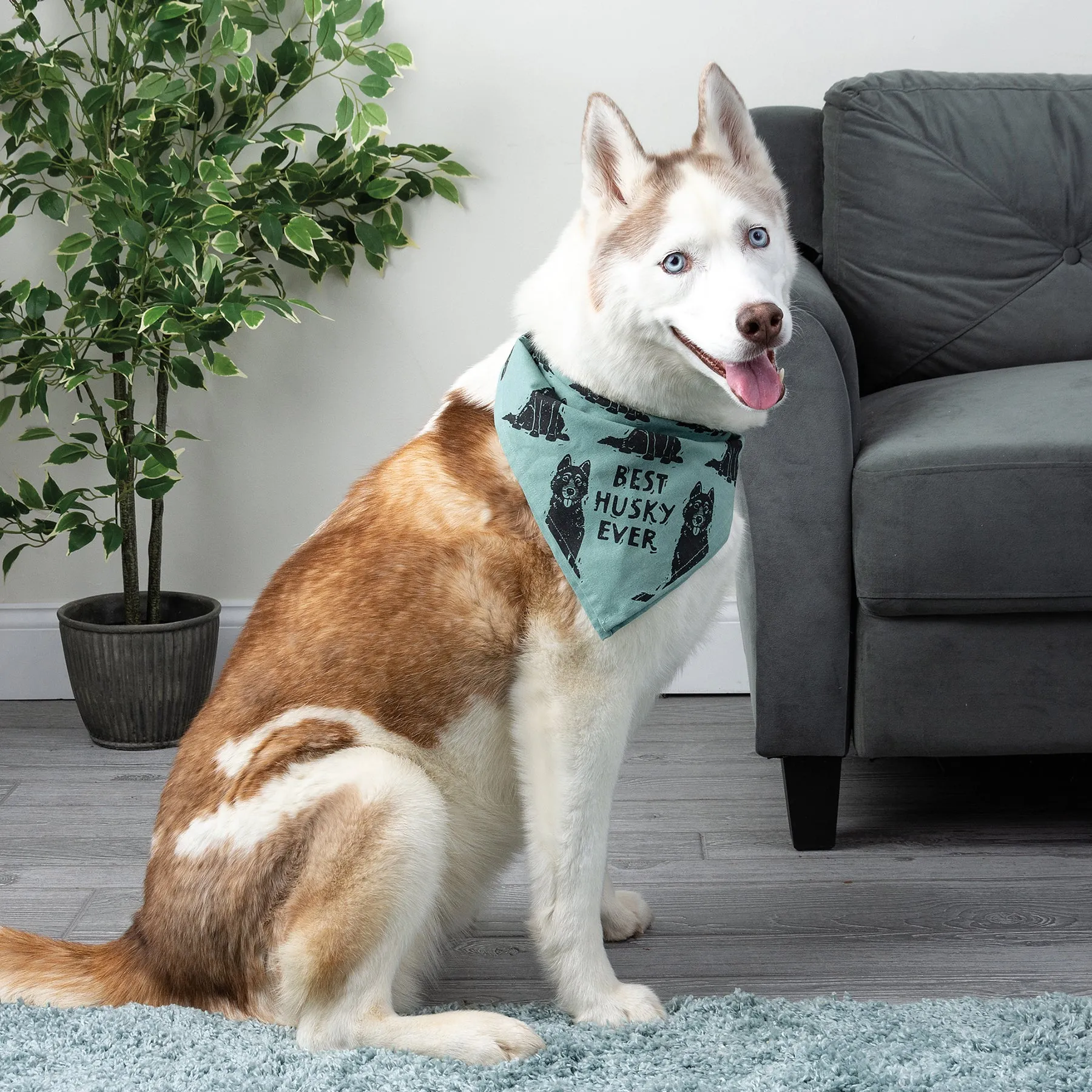 💙 Best Husky Ever Love My Human Pet Bandana Large