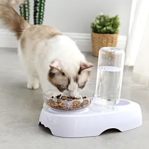 Anti-Vomiting Elevated Cat Bowl