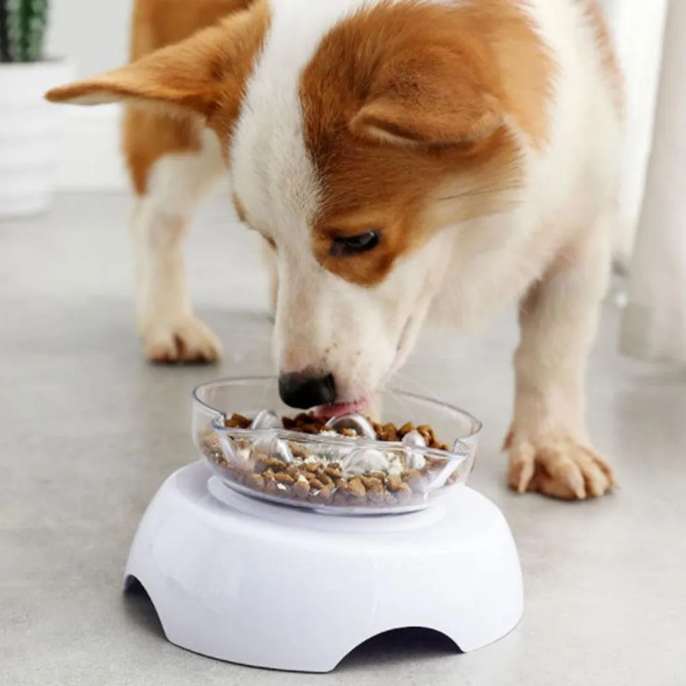 Anti-Vomiting Elevated Cat Bowl