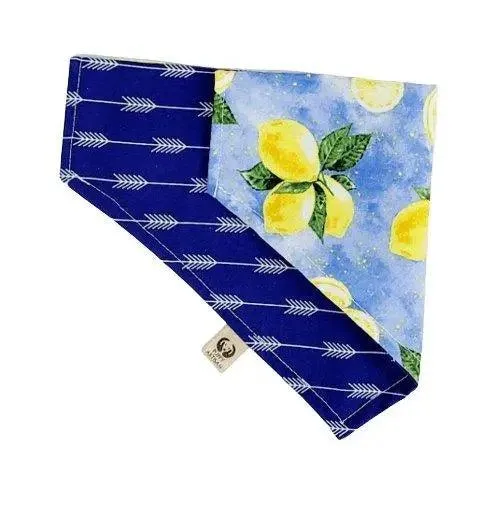Arrow Rows Bandana