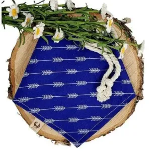 Arrow Rows Bandana