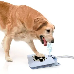 Automatic Dog Water Feeder