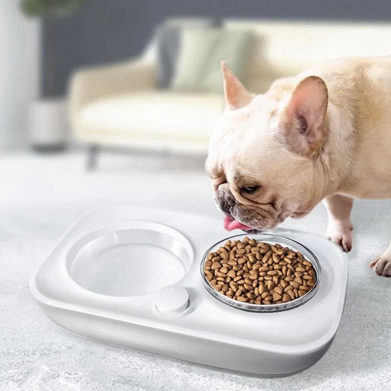Automatic Water Dispenser Double Pet Bowl