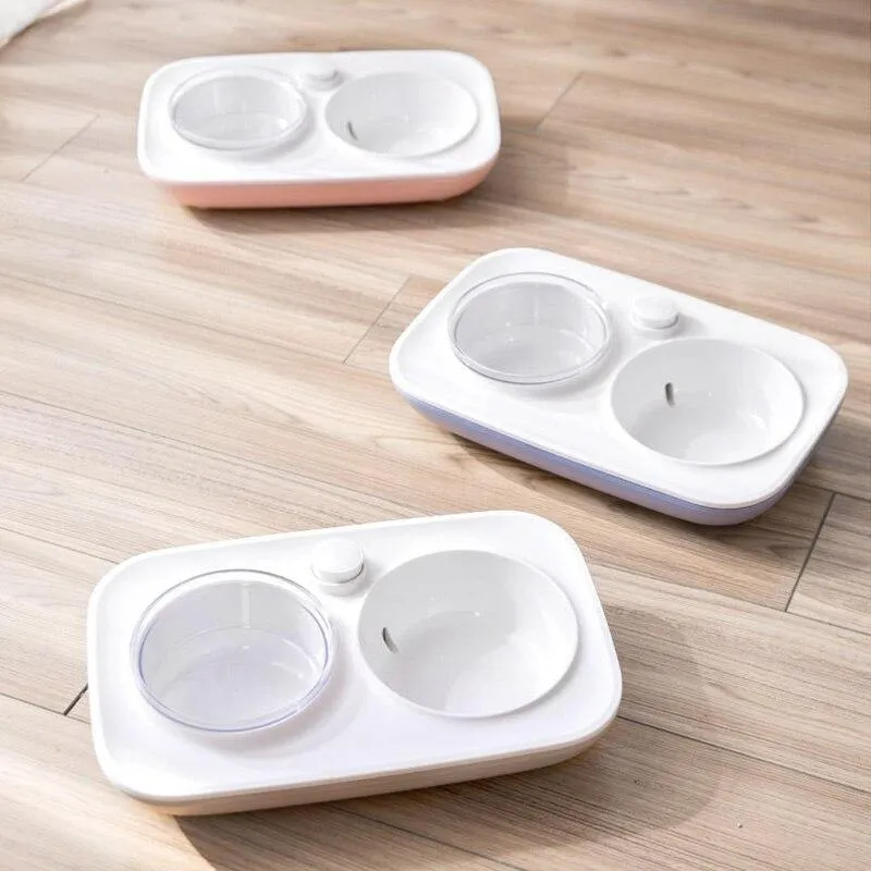 Automatic Water Dispenser Double Pet Bowl