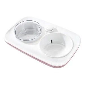 Automatic Water Dispenser Double Pet Bowl