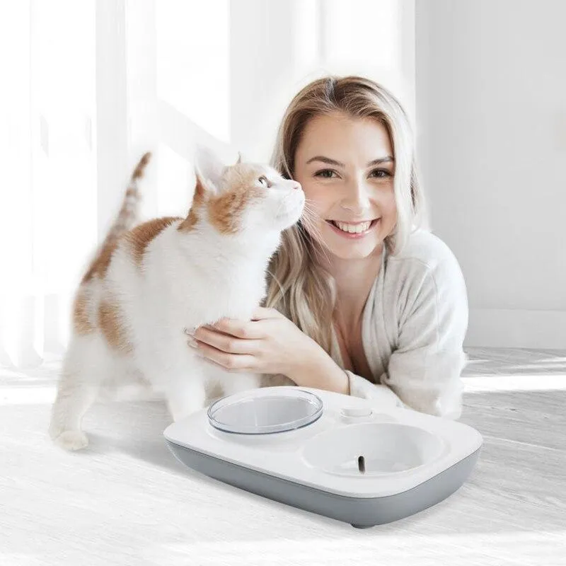 Automatic Water Dispenser Double Pet Bowl