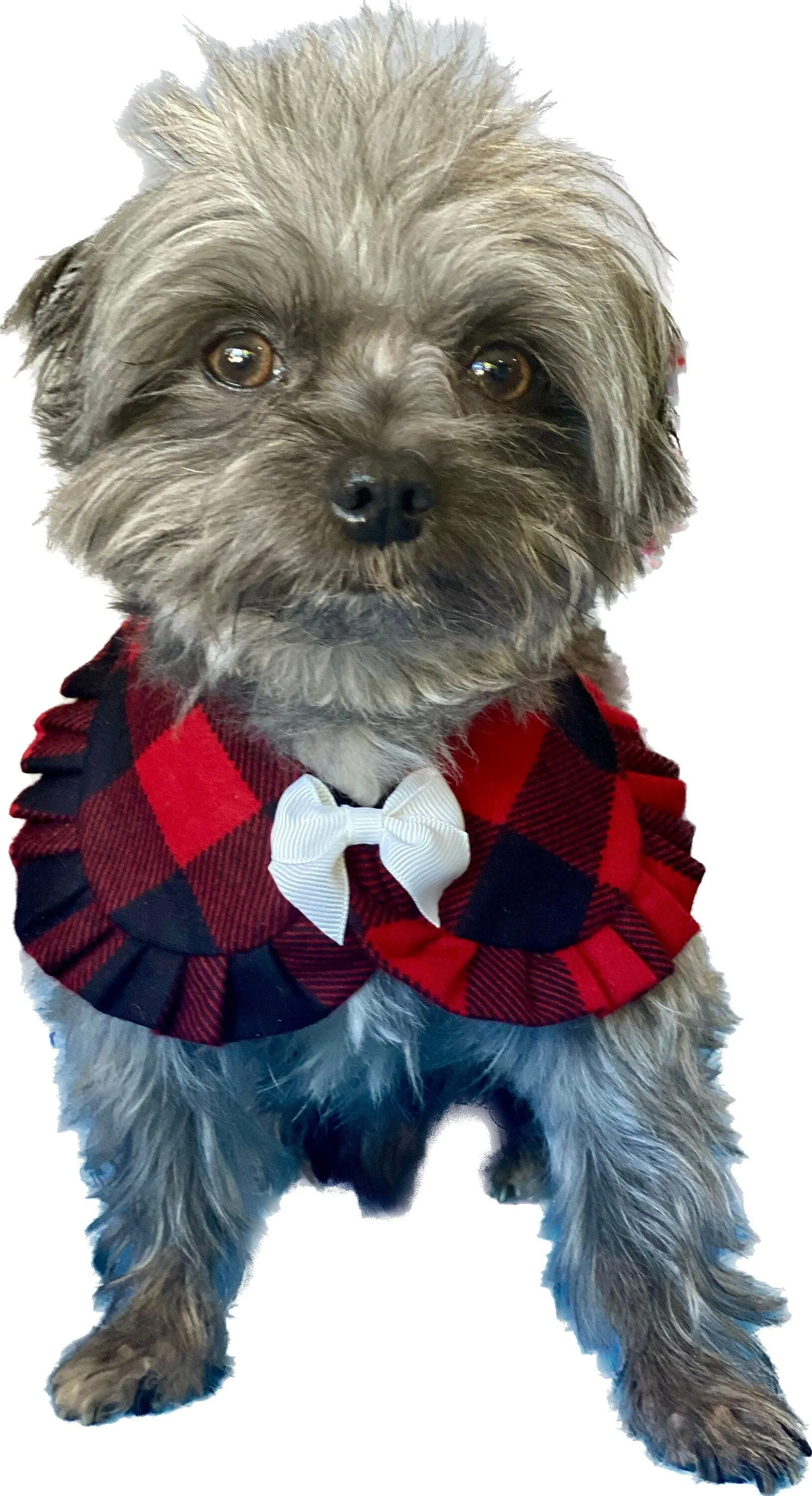 Autumn Dog Bandana, Collar bandana