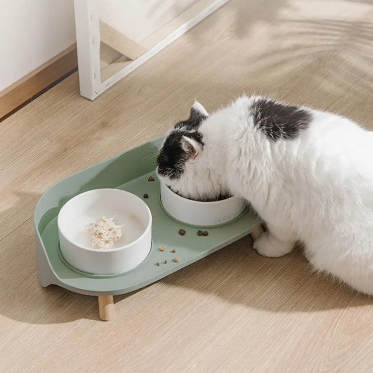 Best Double Cat Bowl | PetBesty