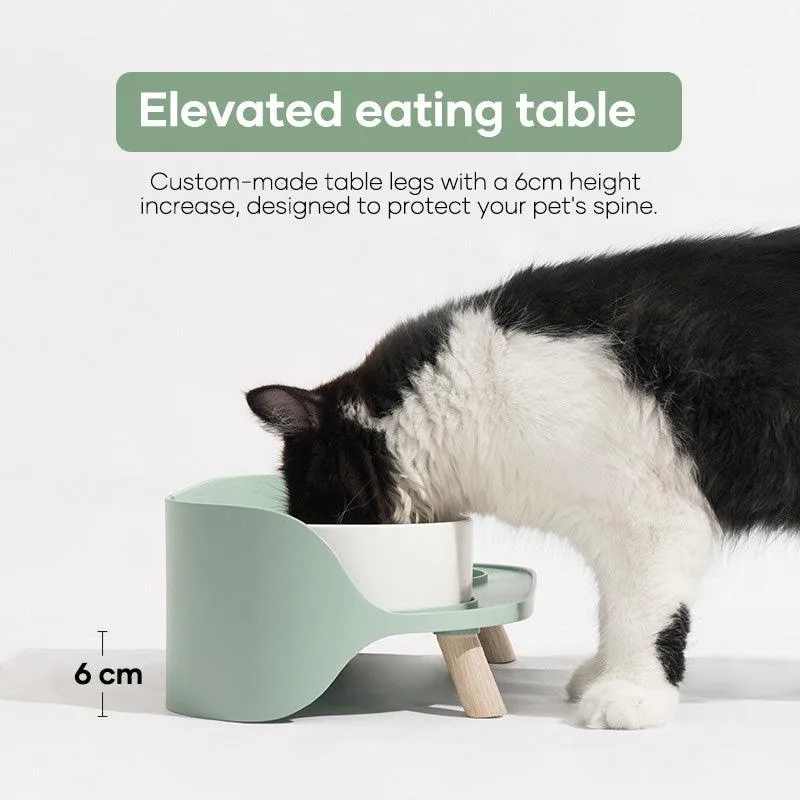 Best Double Cat Bowl | PetBesty