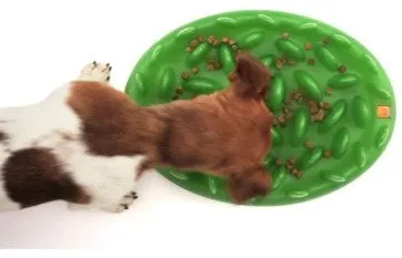 BOWL SLOW FEEDER NORTHMATE OVAL GREEN