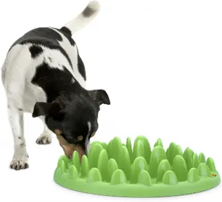 BOWL SLOW FEEDER NORTHMATE OVAL GREEN