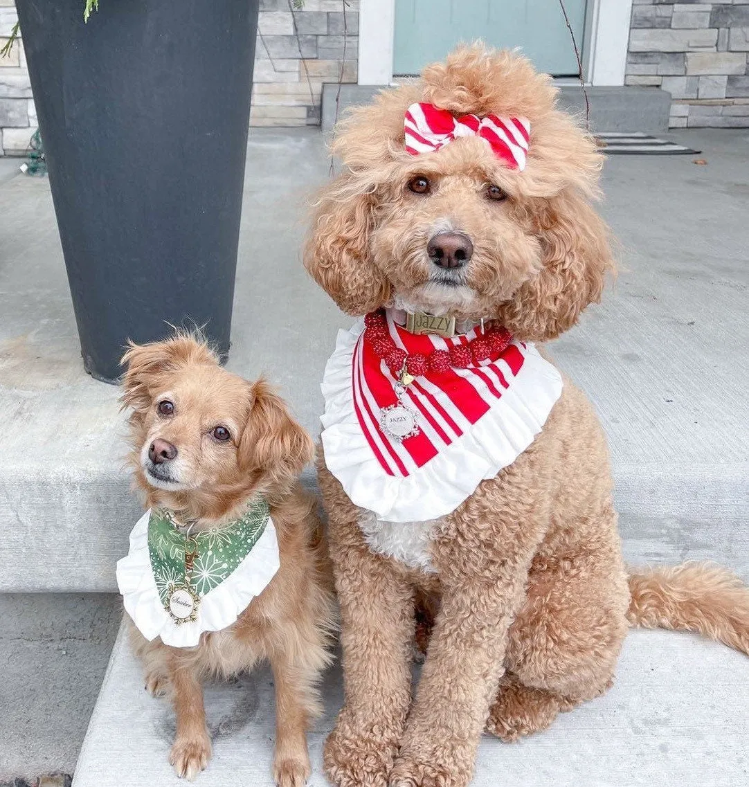 Christmas Green Sparkle W/Ruffles Dog bandana