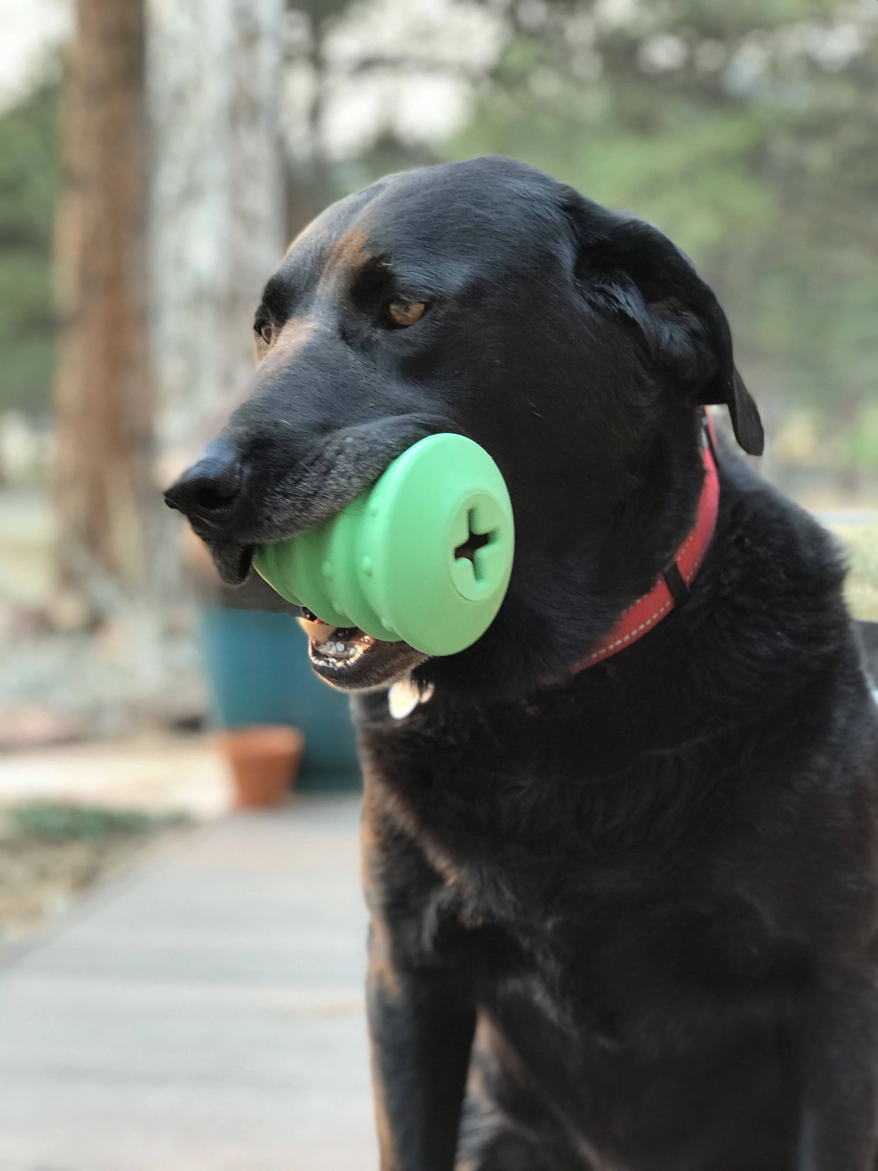 Christmas Tree eDispenser Durable Rubber Chew Toy & Treat Dispenser