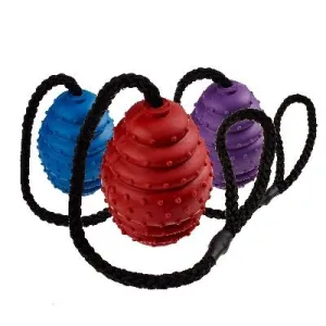 Classic Rubber Oval Ball on a String