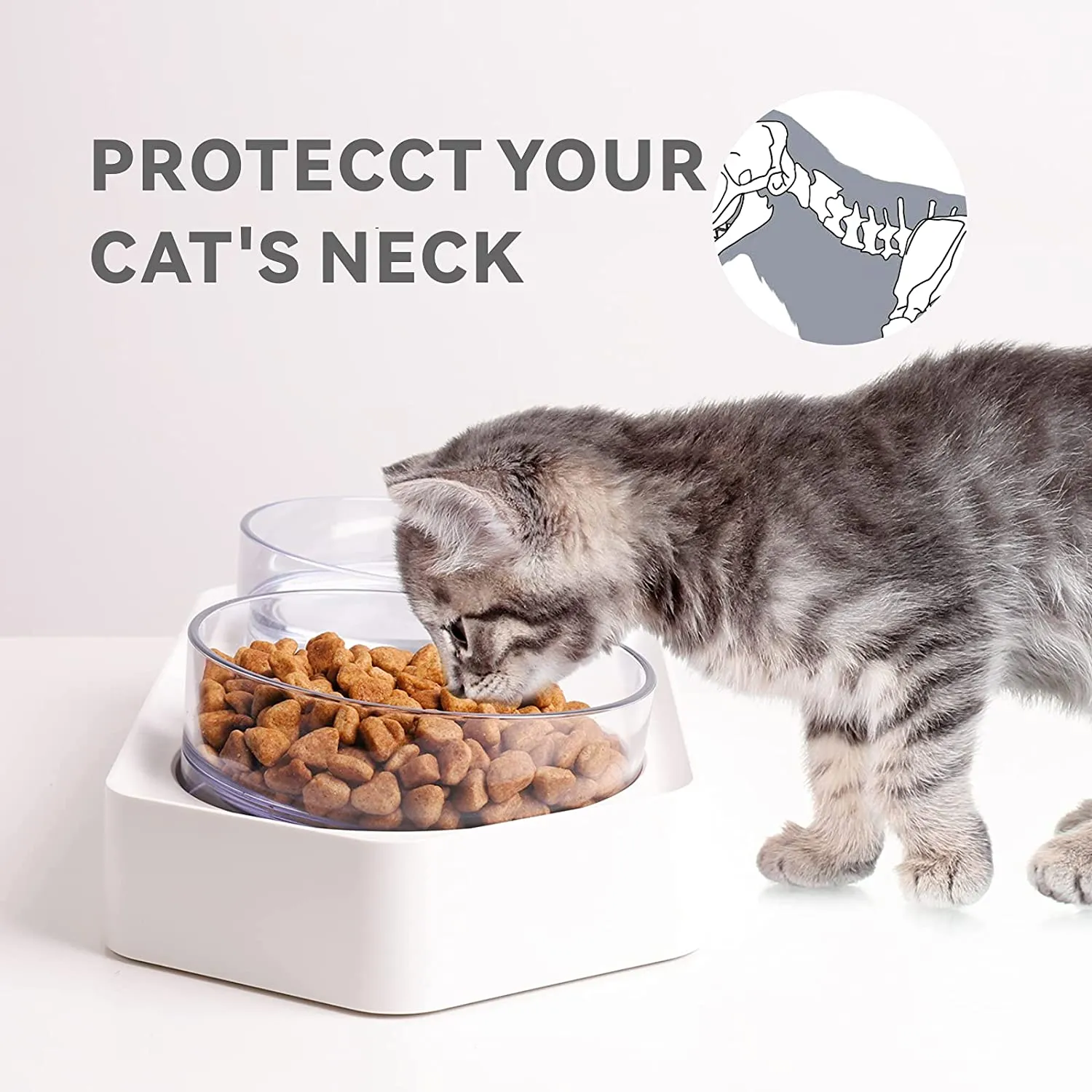 Elevated Cat Bowl Set