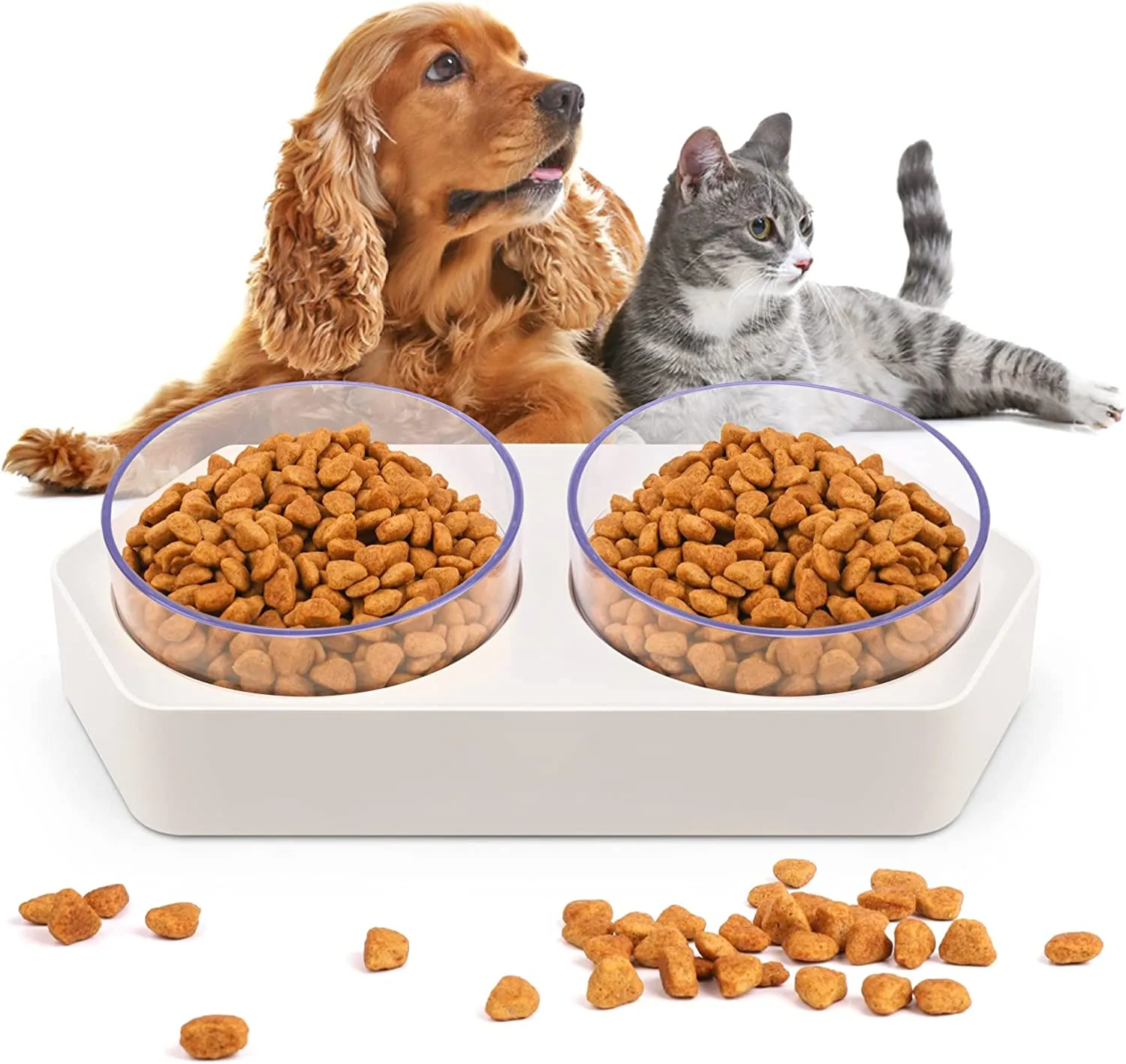Elevated Cat Bowl Set