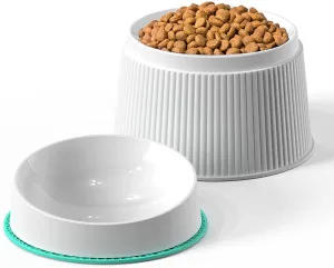 Elevated Cat Food Bowl