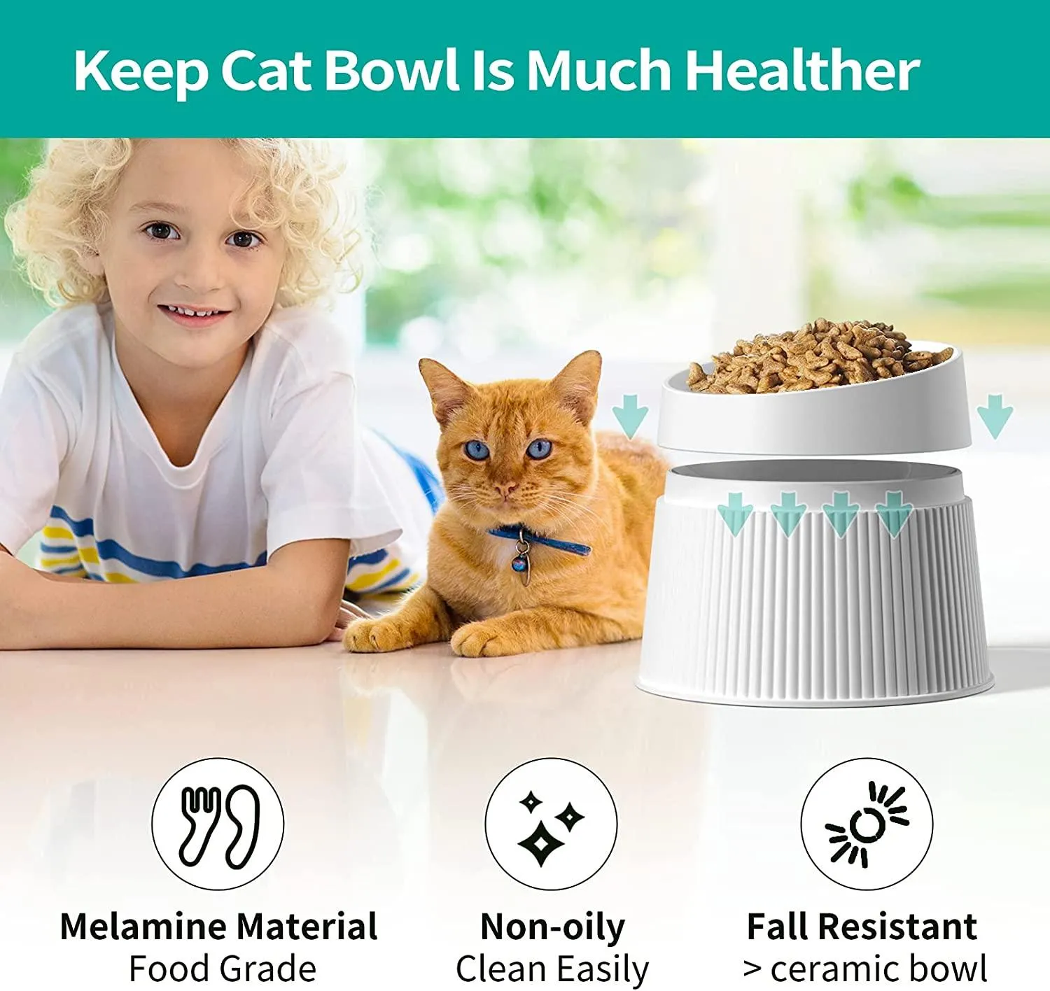 Elevated Cat Food Bowl