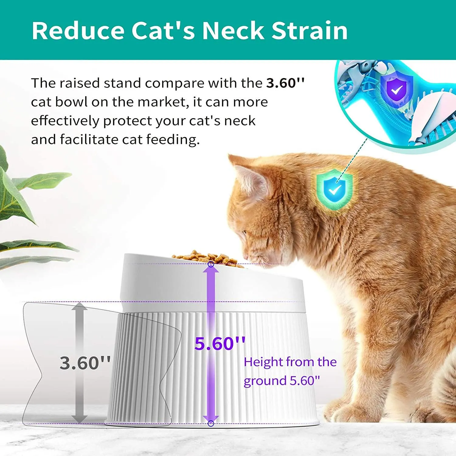 Elevated Cat Food Bowl