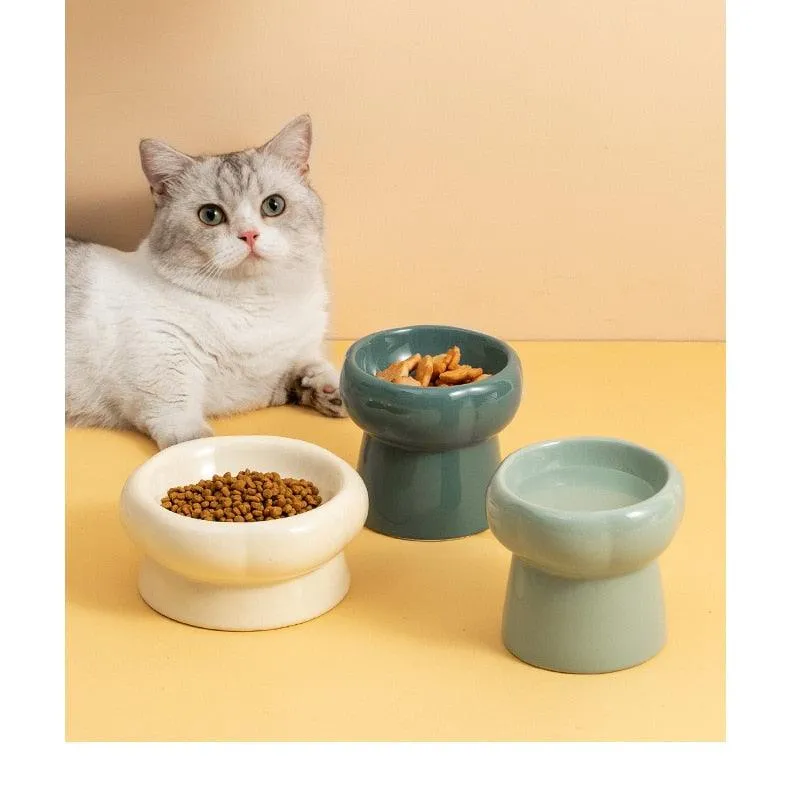 Elevated Ceramic Cat Bowls