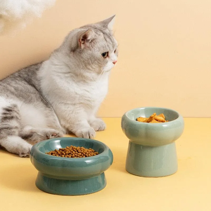 Elevated Ceramic Cat Bowls