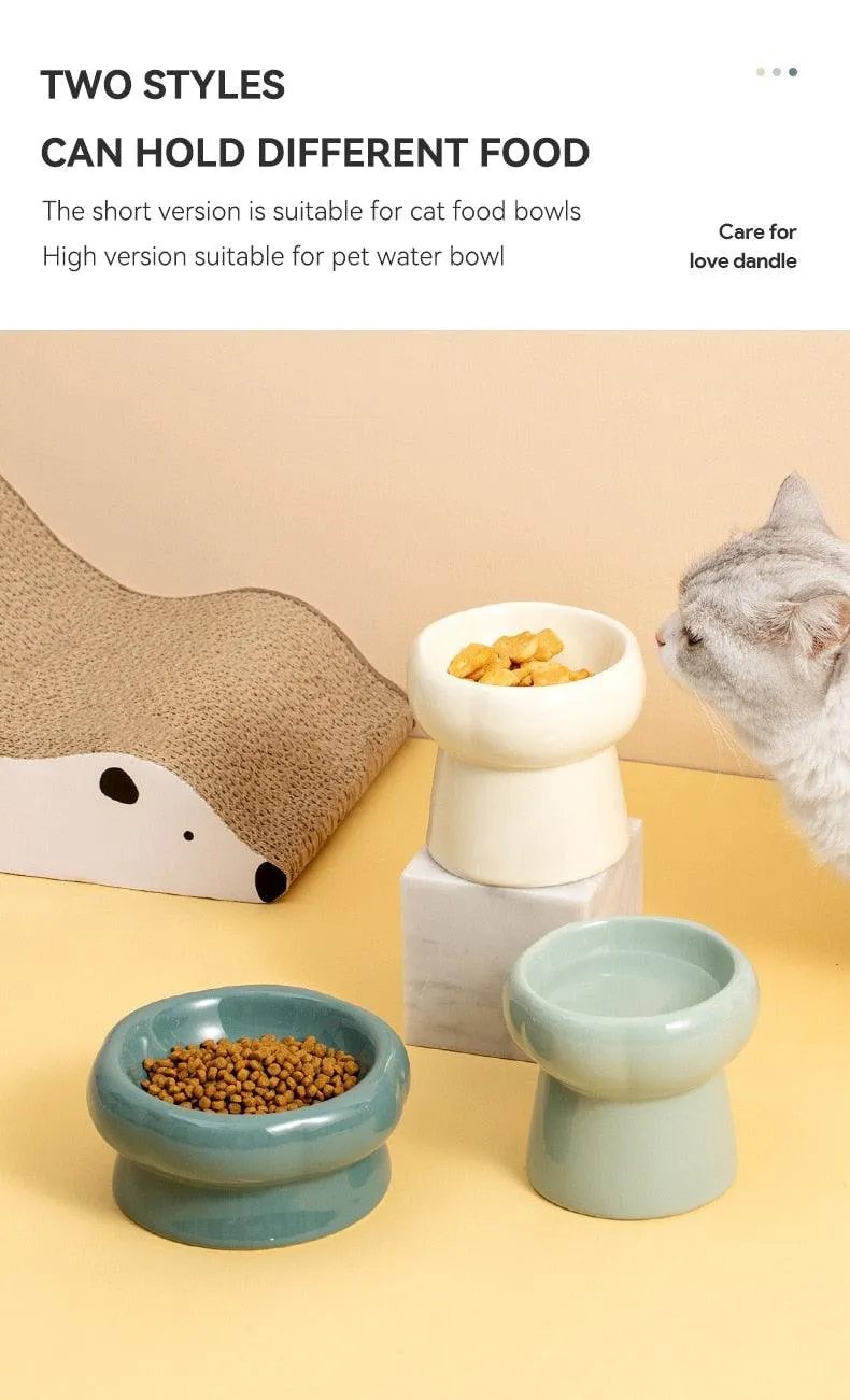 Elevated Ceramic Cat Bowls