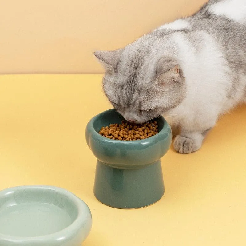 Elevated Ceramic Cat Bowls