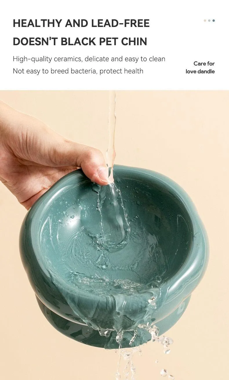 Elevated Ceramic Cat Bowls