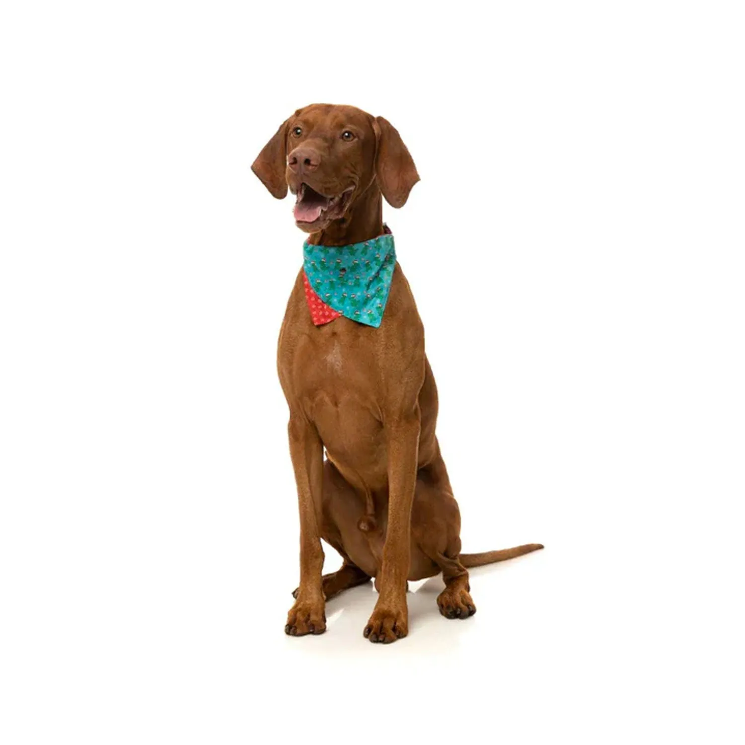 Fuzzyard Tree Rex Bandana - Christmas