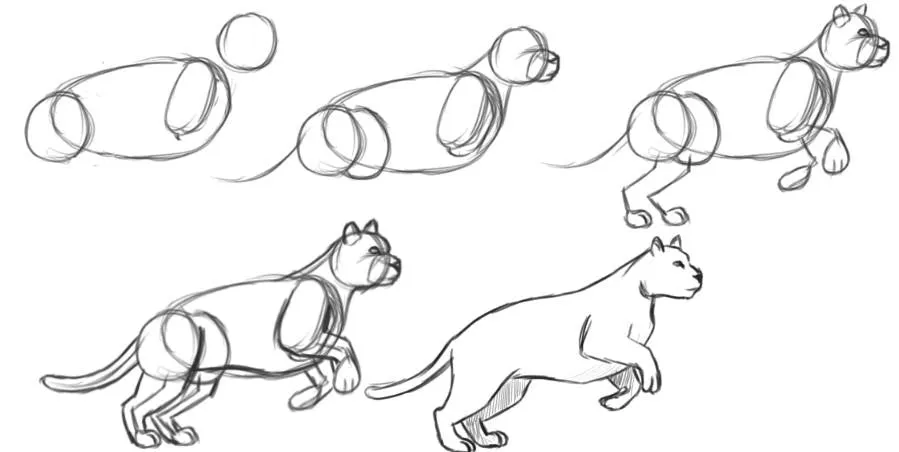 How to Draw Cats for Kids