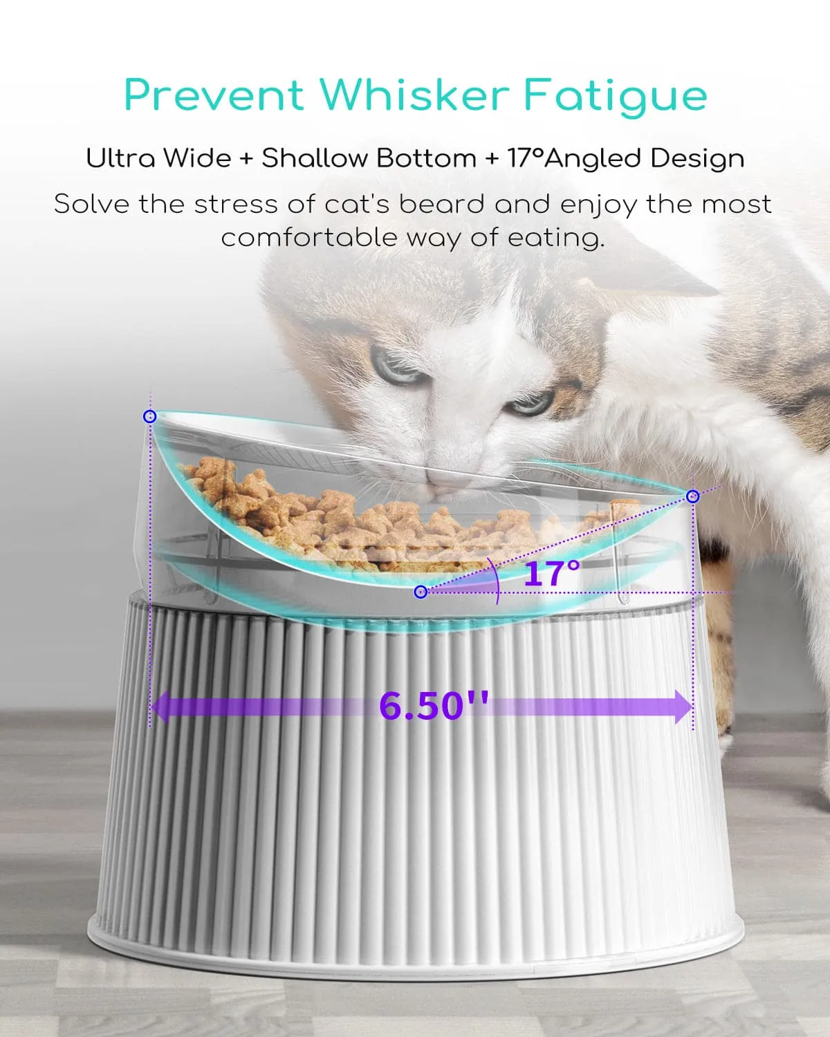 LED Fountian & Cat Essentials