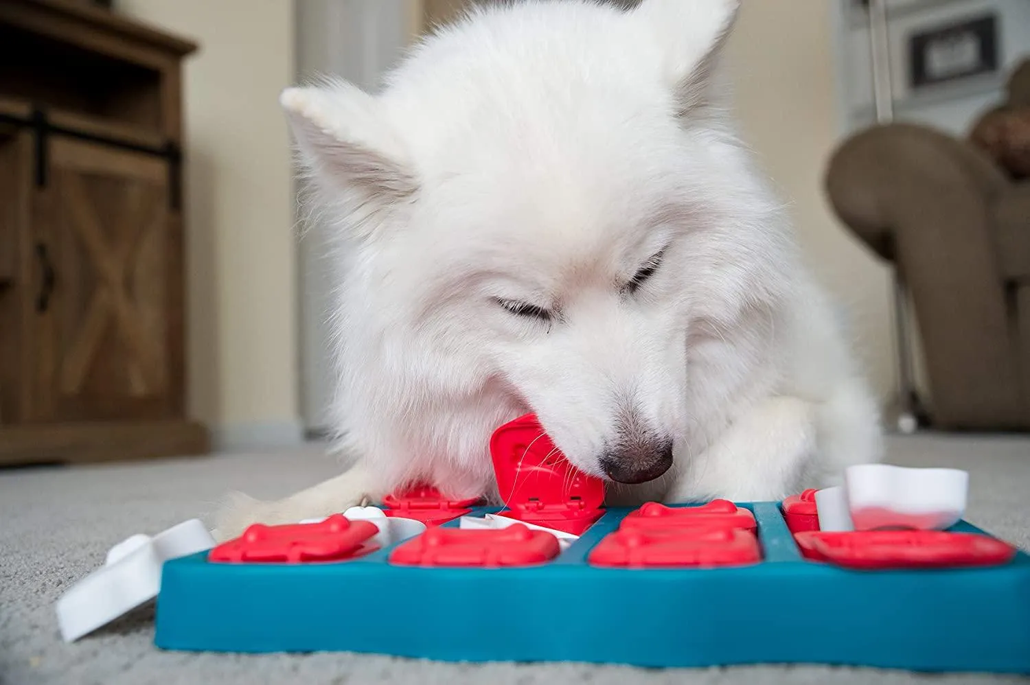 Nina Ottosson by Outward Hound Dog Brick Interactive Treat Puzzle Dog Toy, Intermediate