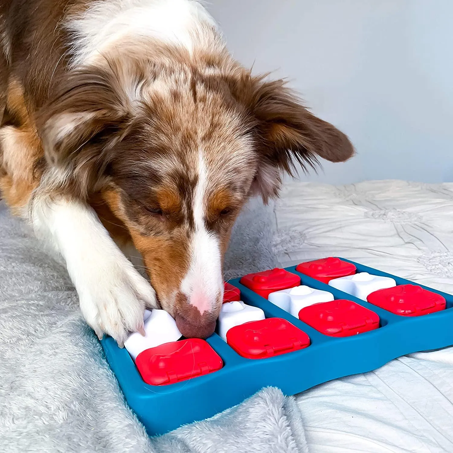 Nina Ottosson by Outward Hound Dog Brick Interactive Treat Puzzle Dog Toy, Intermediate