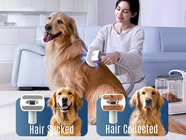 Oneisall BM3 3L Dog Grooming Vacuum Kit & 7L Dog Water Fountain Set