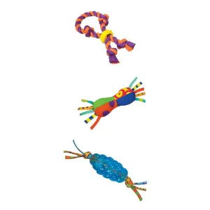 Outward Hound Chew Starter Dental Dog Toy, Pack of 3