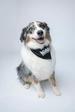 Pet Reversible Bandana