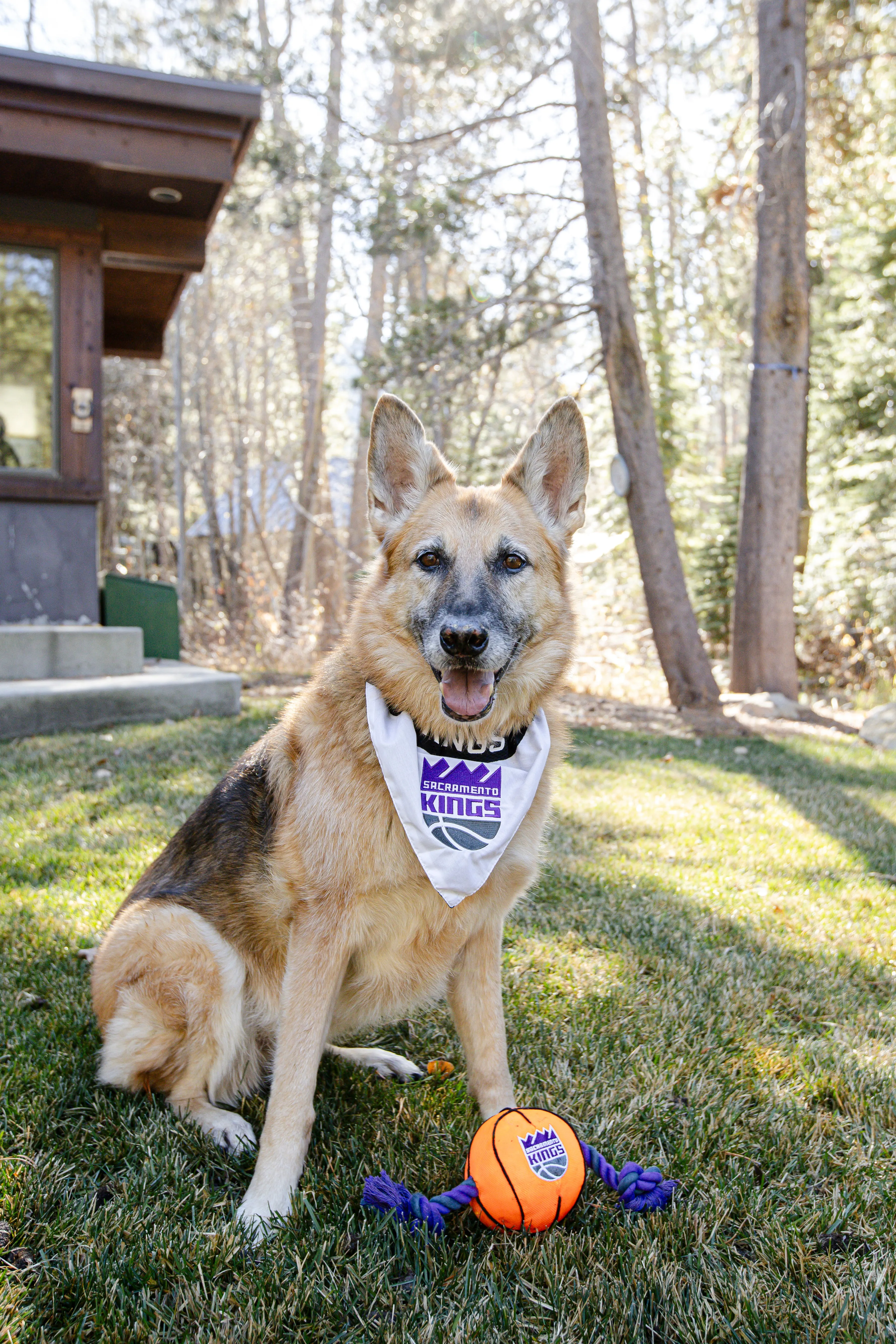 Pet Reversible Bandana