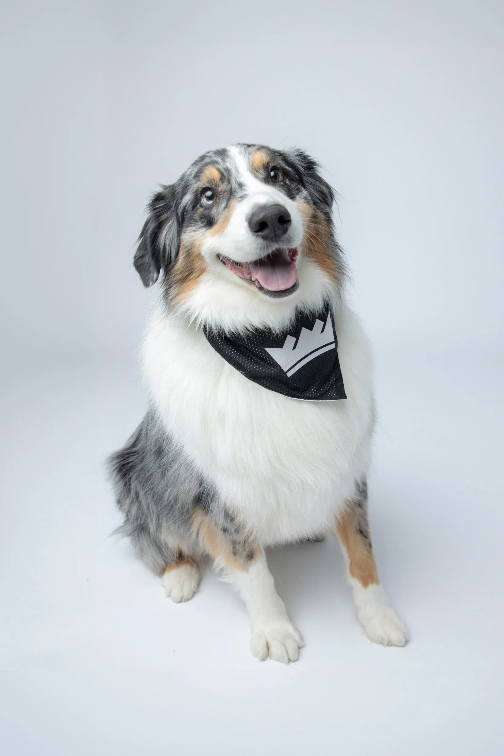 Pet Reversible Bandana