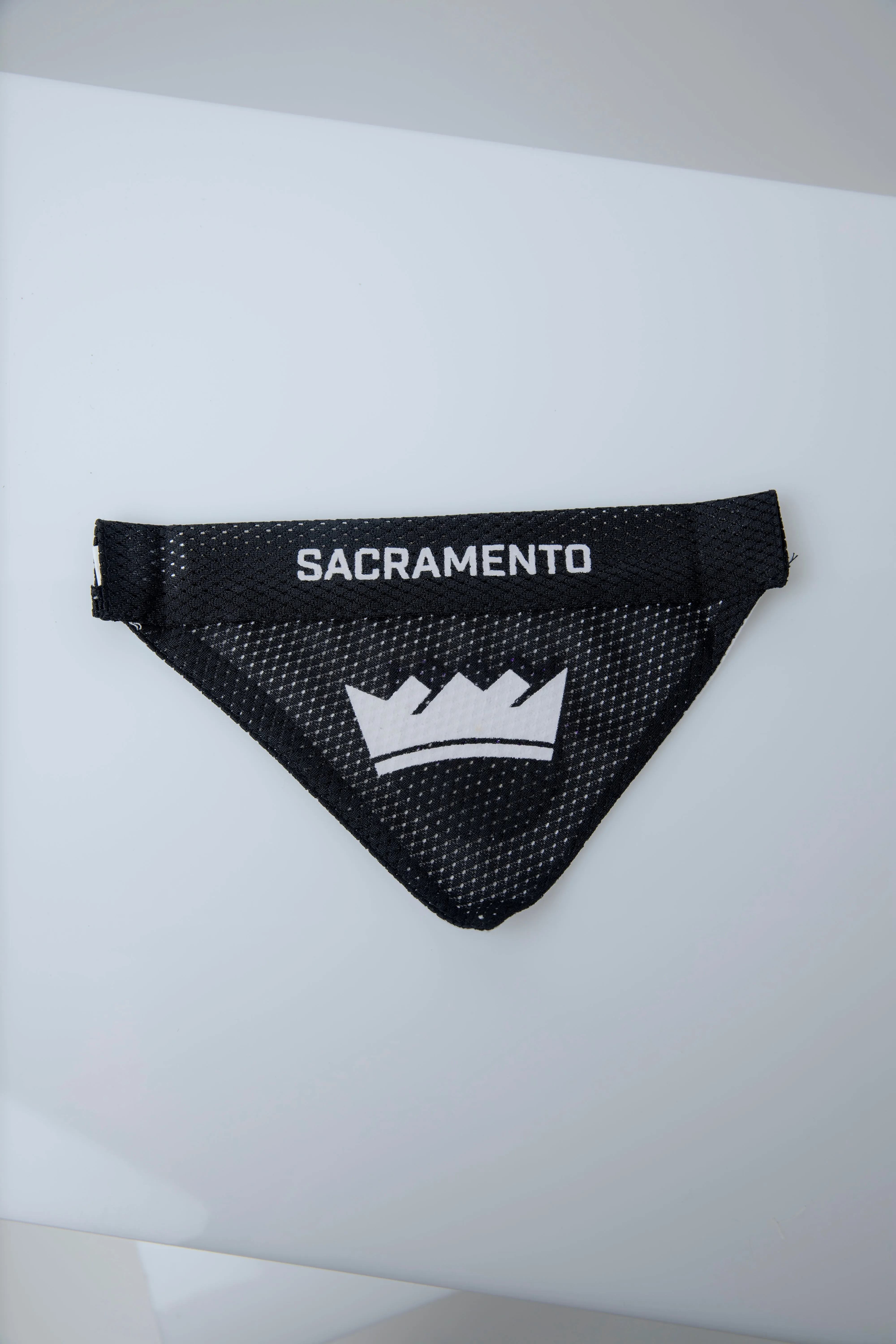 Pet Reversible Bandana
