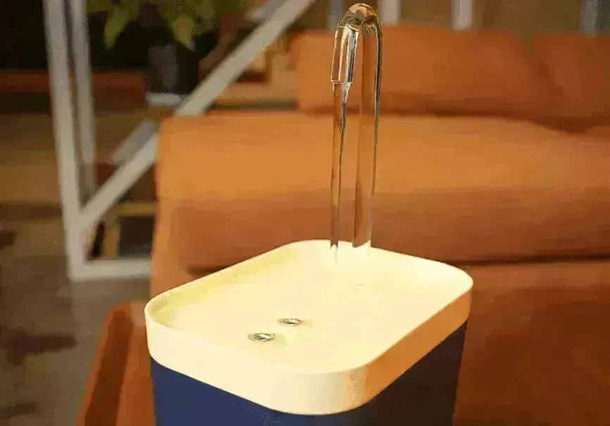 Pet Water Dispenser & Water Filter with a Fountain