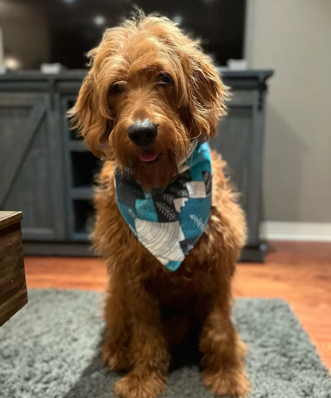 Scandinavian Mountains Bandana