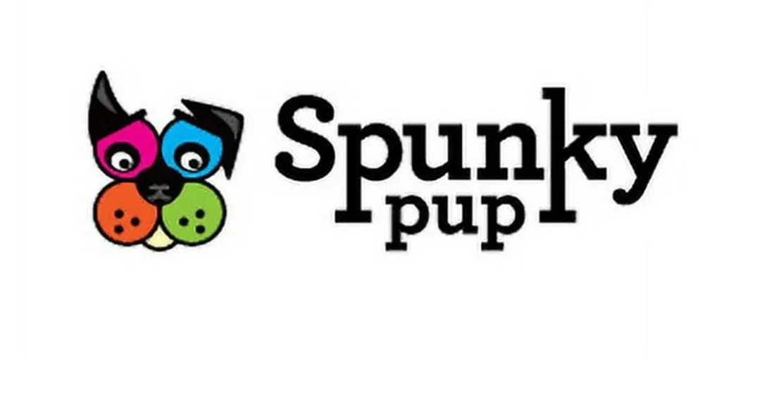 SPUNKY Pup Fetch & Glow Ball S 2pk a Active Toy for your Dog