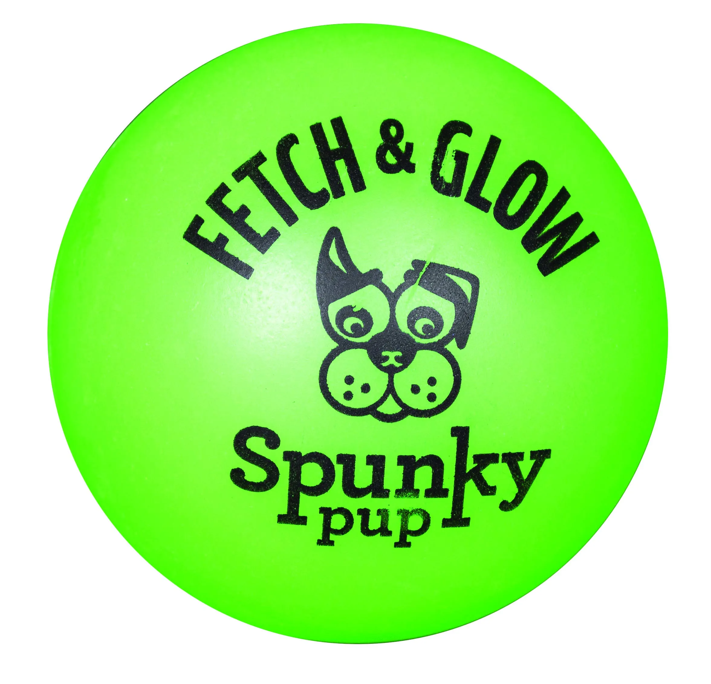 Spunky Pup Fetch and Glow-in-the-Dark Ball Float and Fetch Dog Toy - Large