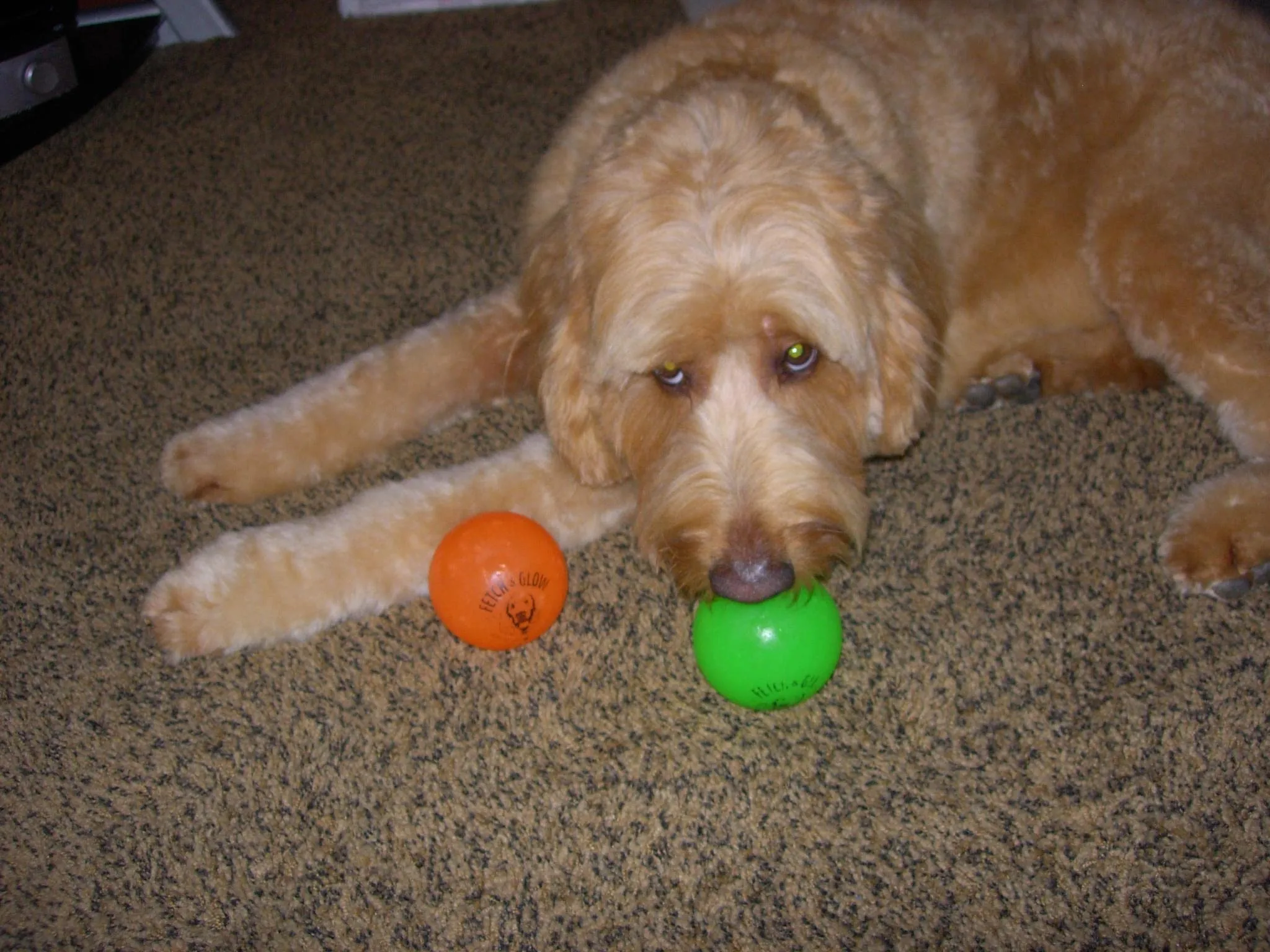 Spunky Pup Fetch and Glow-in-the-Dark Ball Float and Fetch Dog Toy - Large
