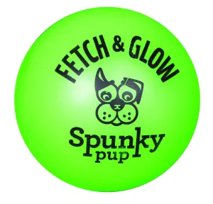 Spunky Pup Fetch and Glow-in-the-Dark Ball Float and Fetch Dog Toy - Large