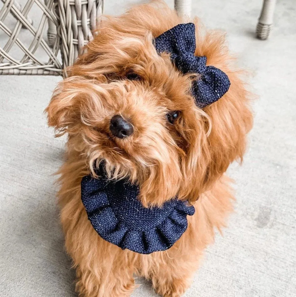 Tiny hearts Valentines Dog bandana with ruffles