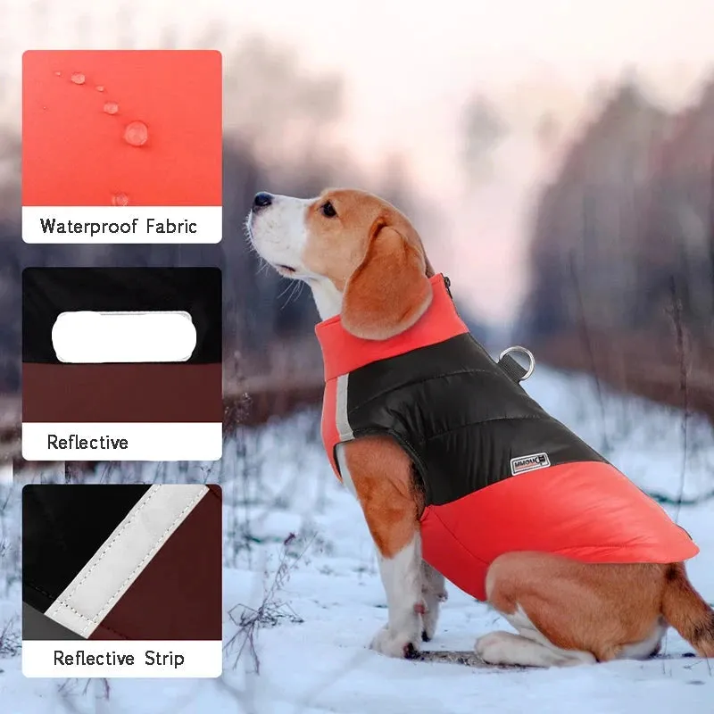 Waterproof Luxury Winter Dog Jacket for All Breeds