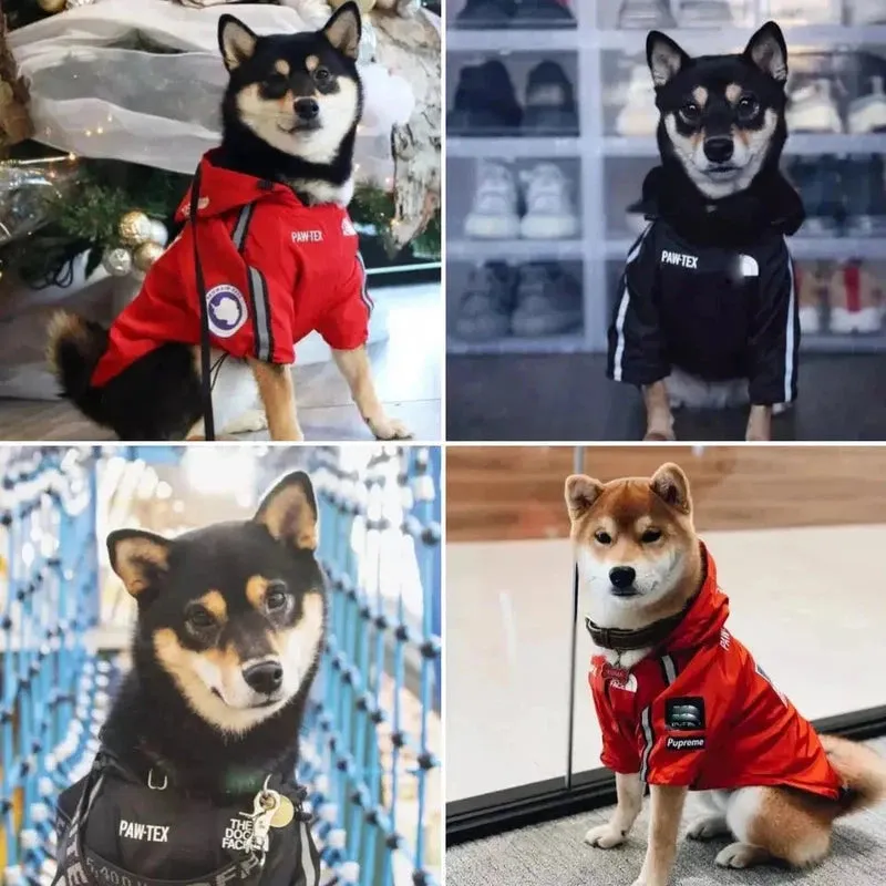 Waterproof Reflective Dog Jacket for All-Weather Adventures