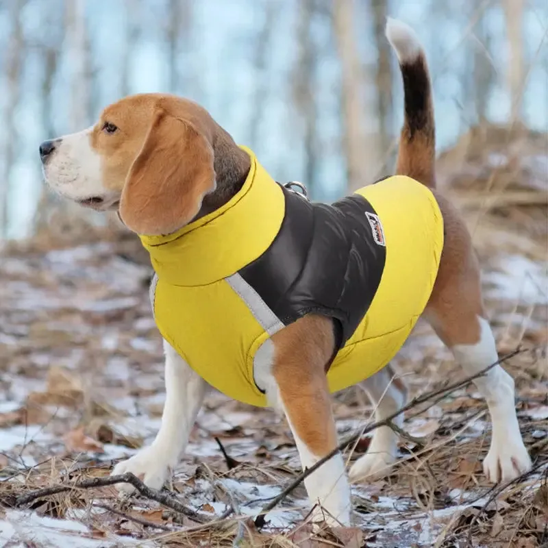 Waterproof Winter Dog Jacket for Small & Large Breeds