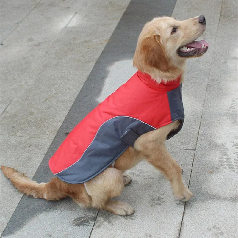 Waterproof  Winter Jacket  For Dog
